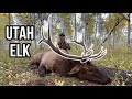 Utah elk with mtn ops