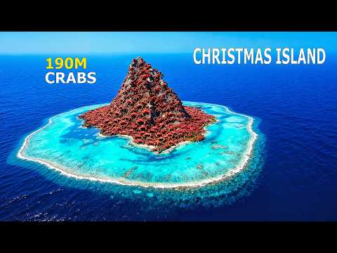 Living in Christmas Island | How People among millions of crabs every day | 4K Travel Documentary