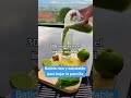 batido rico y saludable