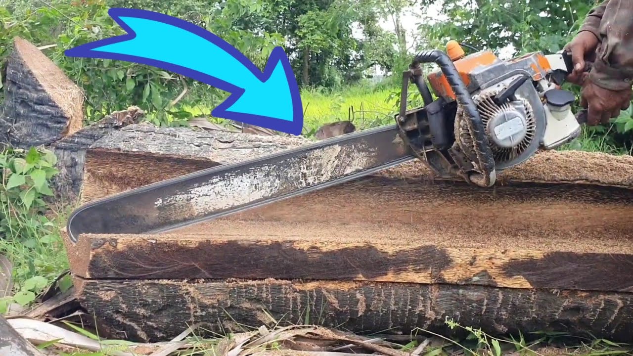 Palm Tree Sawing Stihl Chainsaw Wood Cutting Machine - YouTube