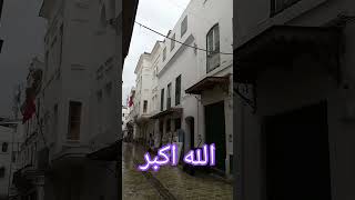 مزمار داوود ما شاء الله تبارك الرحمن