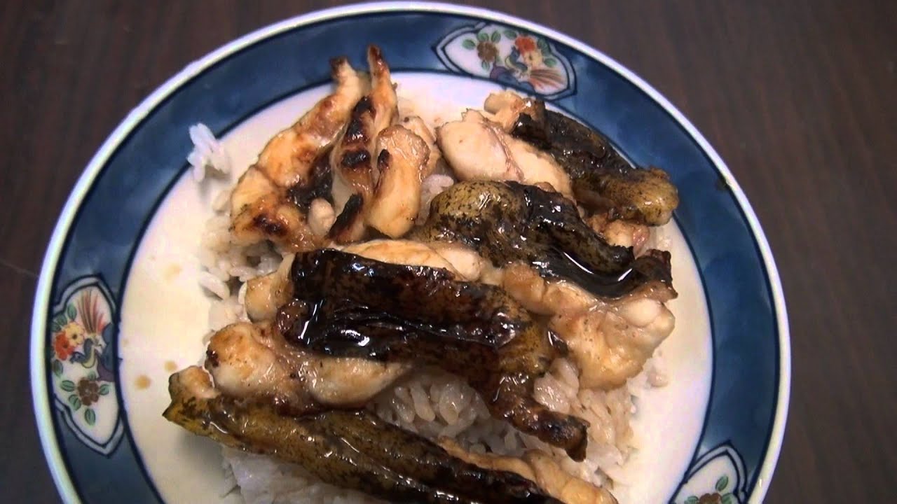 うなぎ丼 ならぬウツボ丼 釣った魚を食べよう 和歌山釣太郎 Youtube
