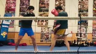 2020011504 toellgym.com