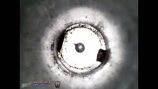 👍A Trip Down the Mosin Bore