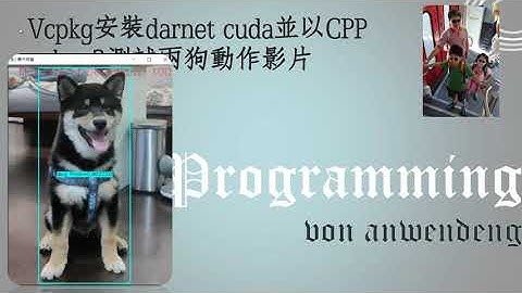 Vcpkg安裝darknet cuda並以C++ yolo v3 tiny辨識柴犬白狗動作影片