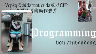 Vcpkg安裝darknet cuda並以C++ yolo v3 tiny辨識柴犬白狗動作影片 screenshot 2