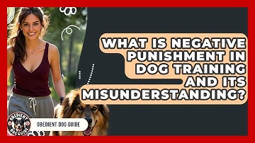 What Is Negative Punishment In Dog Training And Its Misunderstanding? - Obedient Dog Guide