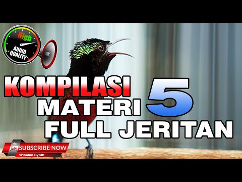 MASTERAN DAHSYAT KOLIBRI NINJA TERBAIK FULL MATERI TEMBAKAN  COCOK BUAT PANCINGAN AGAR CEPAT GACOR