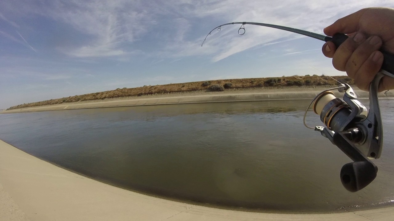 Striper fishing at ca aquaduct YouTube