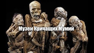 Тайна Кричащих Мумий Тайна Кричащих Мумий