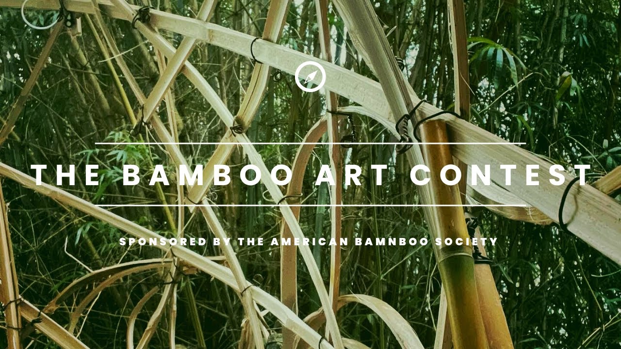 Art Contest 2021 YouTube