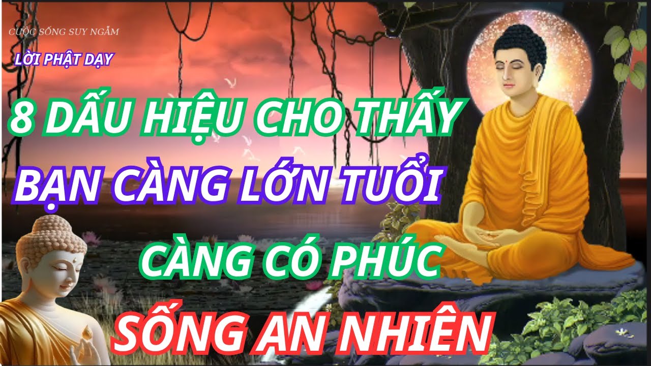 Outline Video 8 Dấu Hiệu Cho Thấy Bạn Càng Lớn Tuổi Càng Có Phúc, Sống An Nhiên | CUỘC SỐNG SUY NGẪM