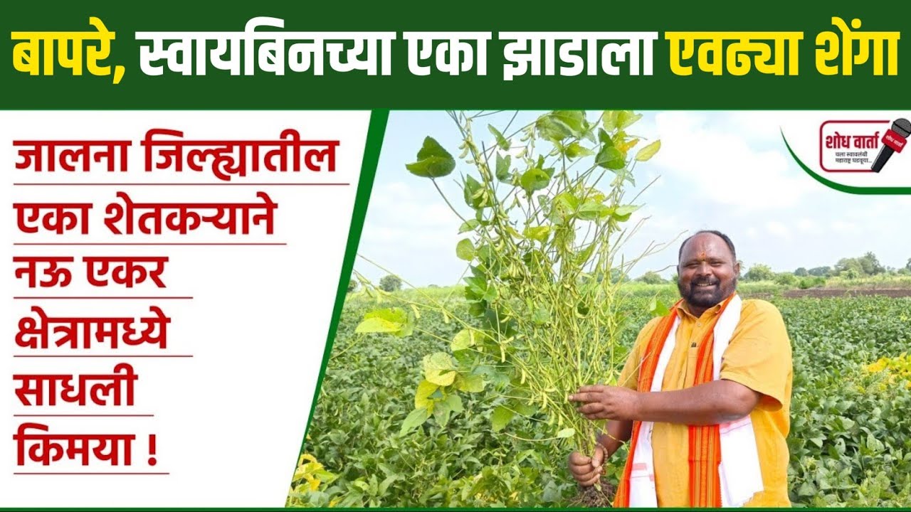 एकरी 22 क्विंटल स्वायबिनचा उतार घेणारे शेतकरी आशोक पांढरे | सोयाबीन पेरणी | Soybean perni|शोध वार्ता