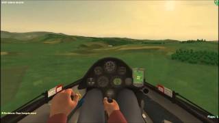 Condor Soaring **FormationFlight**