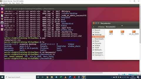 Basic Linux Command for VIC Model