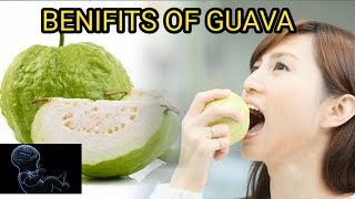 கொய்யா பழத்தின் நன்மைகள் | பயன்கள் |BENEFITS OF GUAVA | IN TAMIL