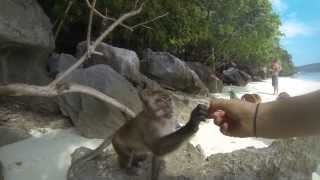 08 Nov 2013 2 Islands Koh Phi Phi Ley & Don