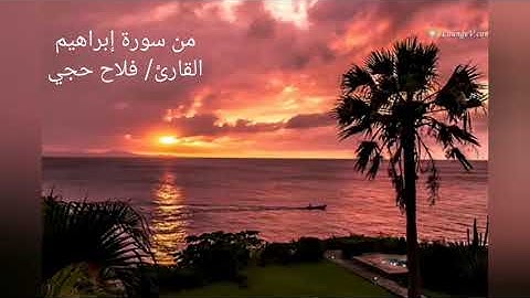 من سورة إبراهيم .. القارئ / فلاح حجي