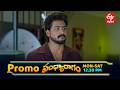 Sandya Ragam Latest Promo | Episode No 308 | 25th May 2026 | ETV Telugu