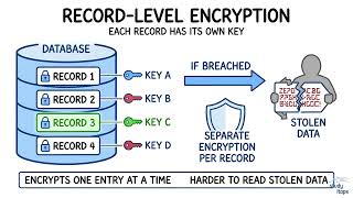 Information How Record-Level Encryption Protects Individual Database Records | CompTIA Security+ SY0-701 News