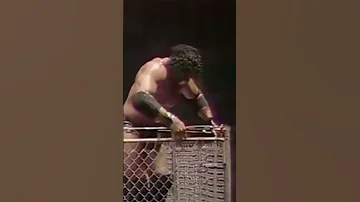 Jimmy Snuka Most Superfly Vs Bob Backlund MSG Steel Cage Match 1982 Shorts Wwe 