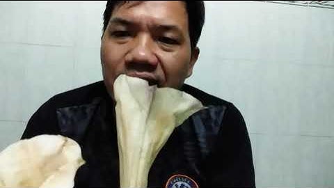 Công dụng của cây cà độc dược trịbênhj thật tuyệt vời mọi nguời xem nhé