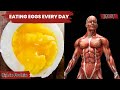 What happens to your body when you start eating 2 eggs a day  the truth behind eating eggs daily