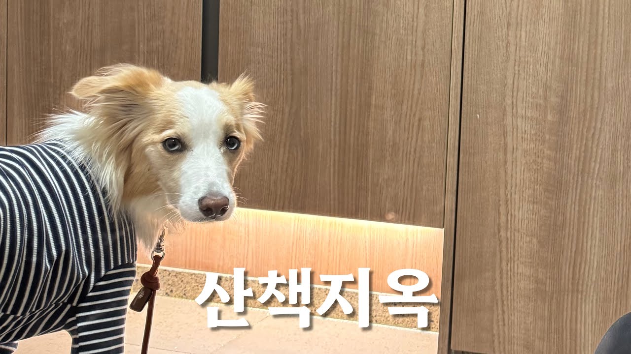 살이 빠질 수밖에 없는 시스템