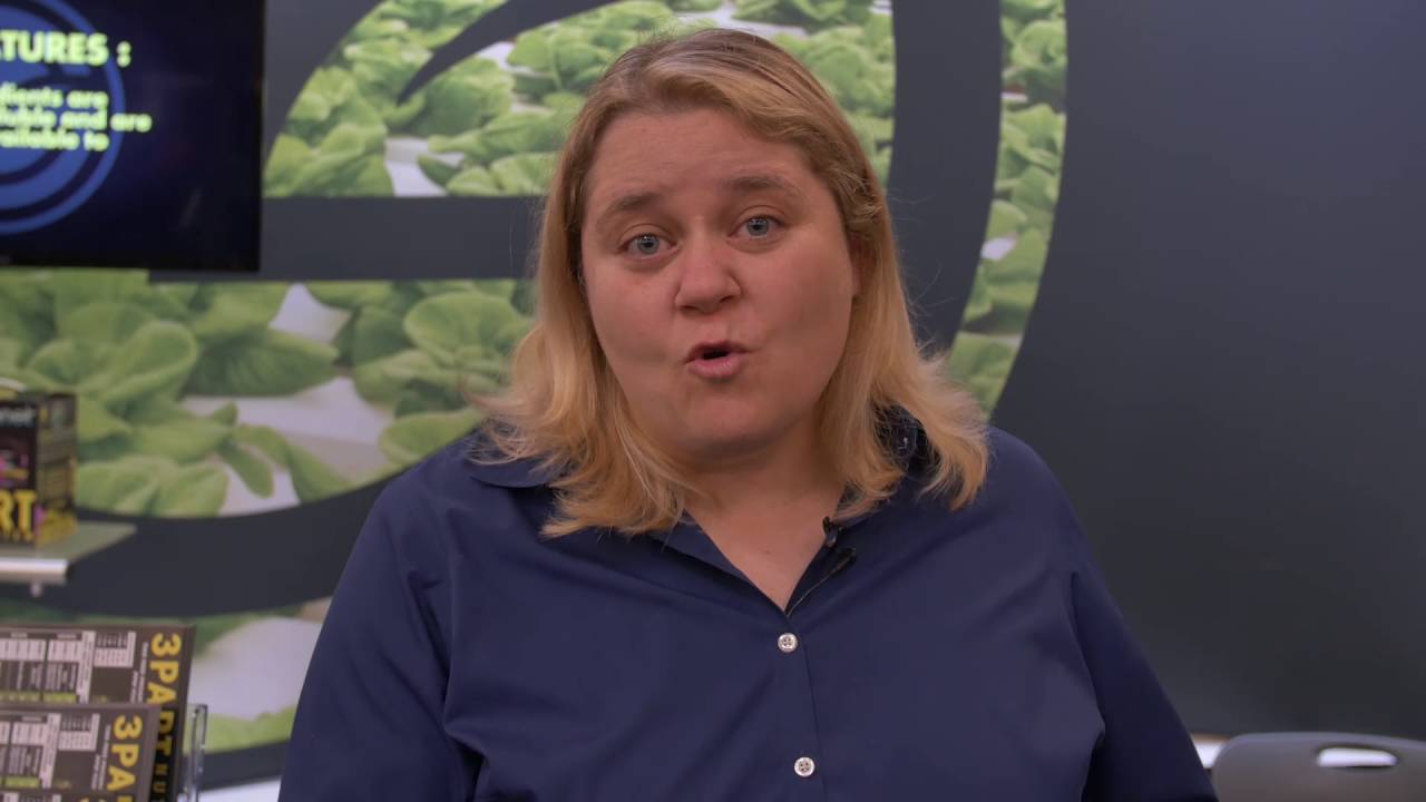 Dr Nadia: What Type Dehumidifier System Should You Choose?