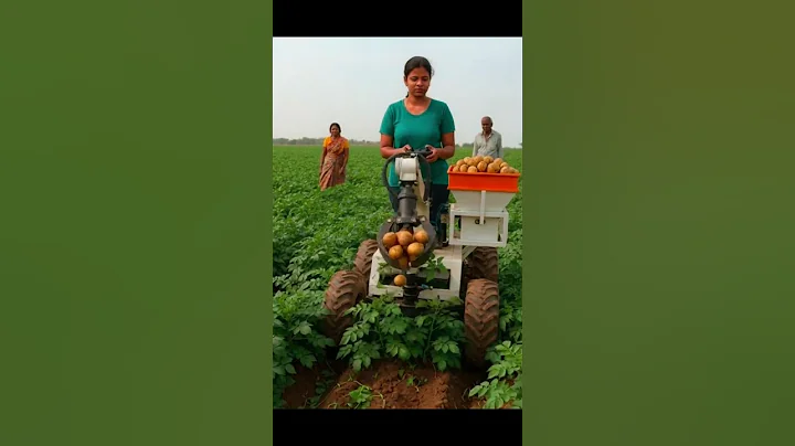 #Smart Potato Harvesting with Women-Led Agri Technology #2025