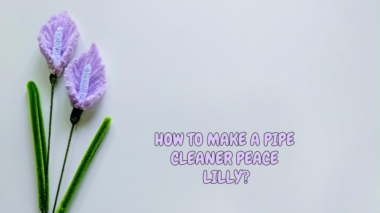 DIY Pipe cleaner Peace Lily💜| Fuzzy wire lily | Beautiful handmade flowers |Chenille wire flowers