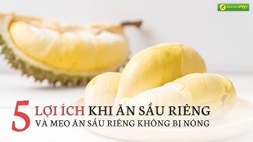 Những Công Dụng Của Sầu Riêng & Mẹo ăn sầu riêng KHÔNG BỊ NÓNG - Bách hóa XANH