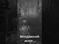 Dayz #dayz #dayzgamers #survival #games #игры #dayzstandalone #dayzpvp #sayonara