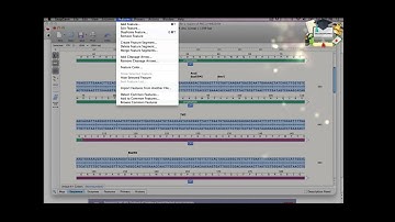 Class2: Working with Features || SnapGene