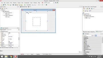 Delphi - PageControl
