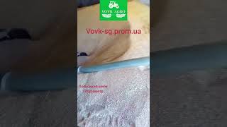 Польський шнековий зернопогрузчик 140 Погрузка кукурудзи зернонавантажувач шнек Вовк СГ (Vovk Agro)