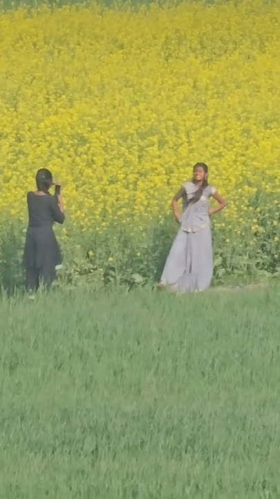 MERA Dhi kiTNA PAGl   HAi 3