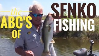 The ABC's of fishing the Senko, worlds number one bass lure!