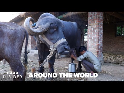 Milk Around The World