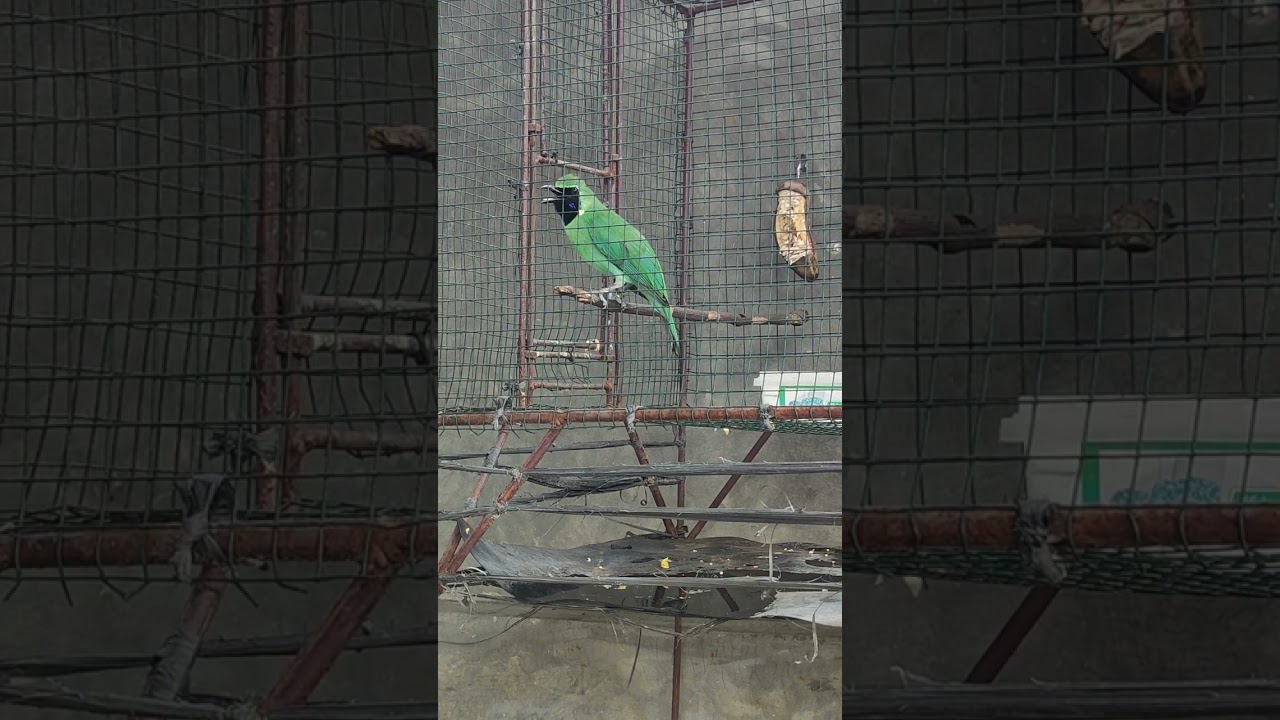 Belajar dan mengusahakan yg terbaik