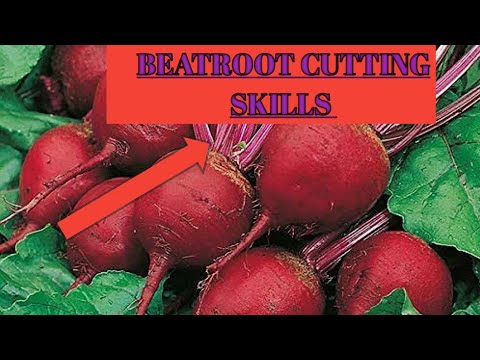 BEATROOT CUTTING SKILLS|CUTTING VERY FAST#vegetables😲 - YouTube