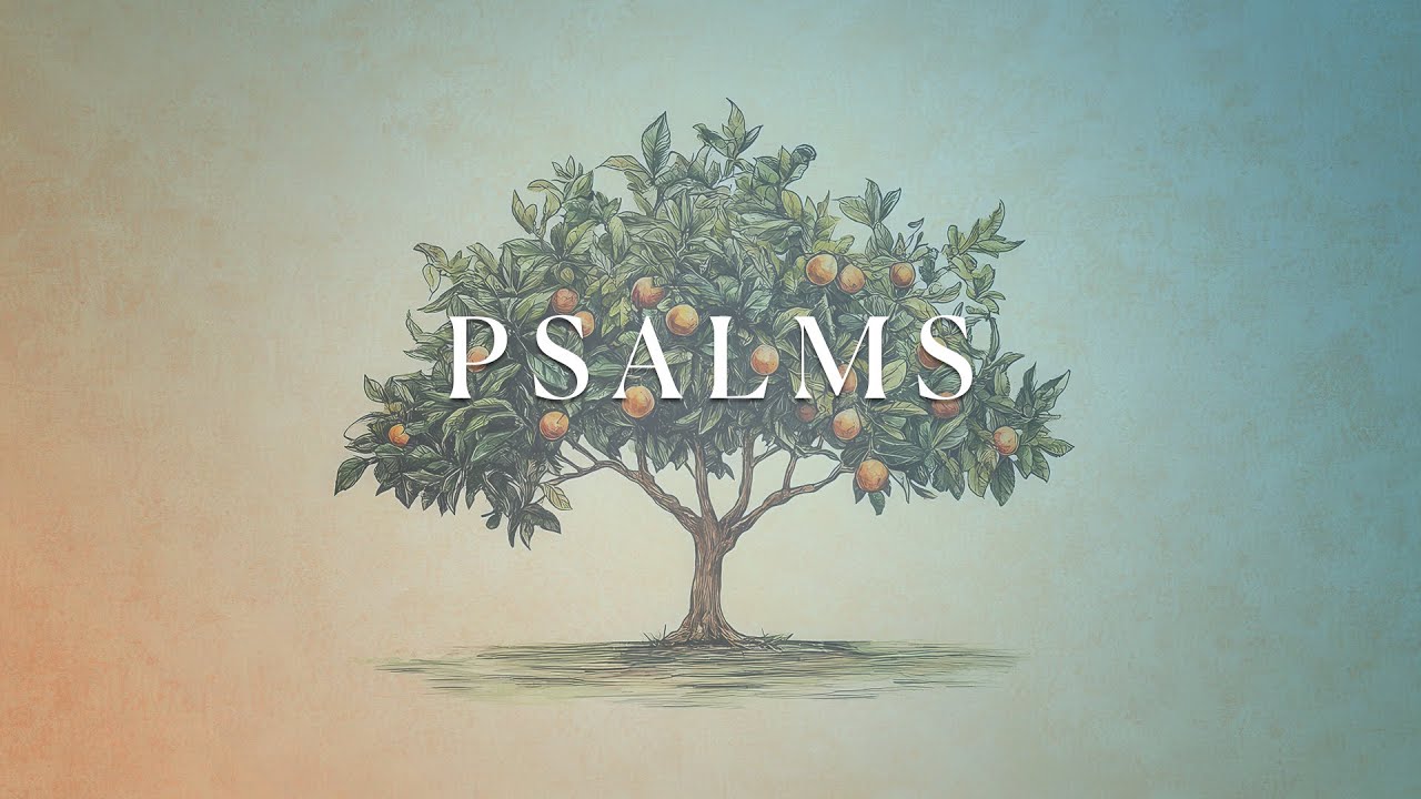 Psalm 40-41 | Pastor Dave Cummings | November 19, 2025
