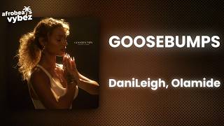 DaniLeigh - Goosebumps ft. Olamide (Lyrics)