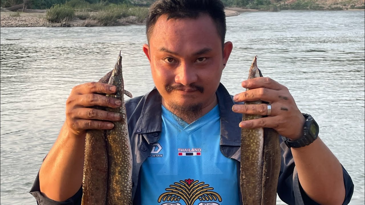 #ออกล่ากระทิงลายจุดดำน้ำเมย