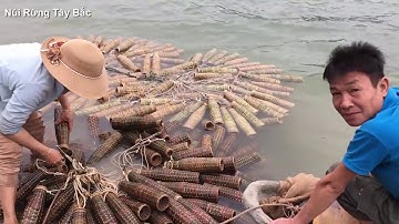 Cách Bắt Tôm   Bắt Tép Của Người Dân Ven Sông Đà   Núi Rừng Tây Bắc