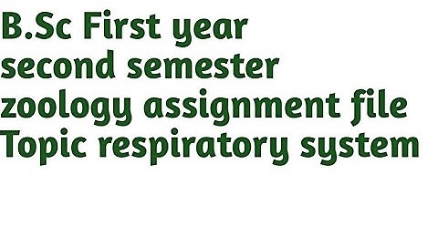 B.Sc first year second semester zoology assignment file, topic respiratory system