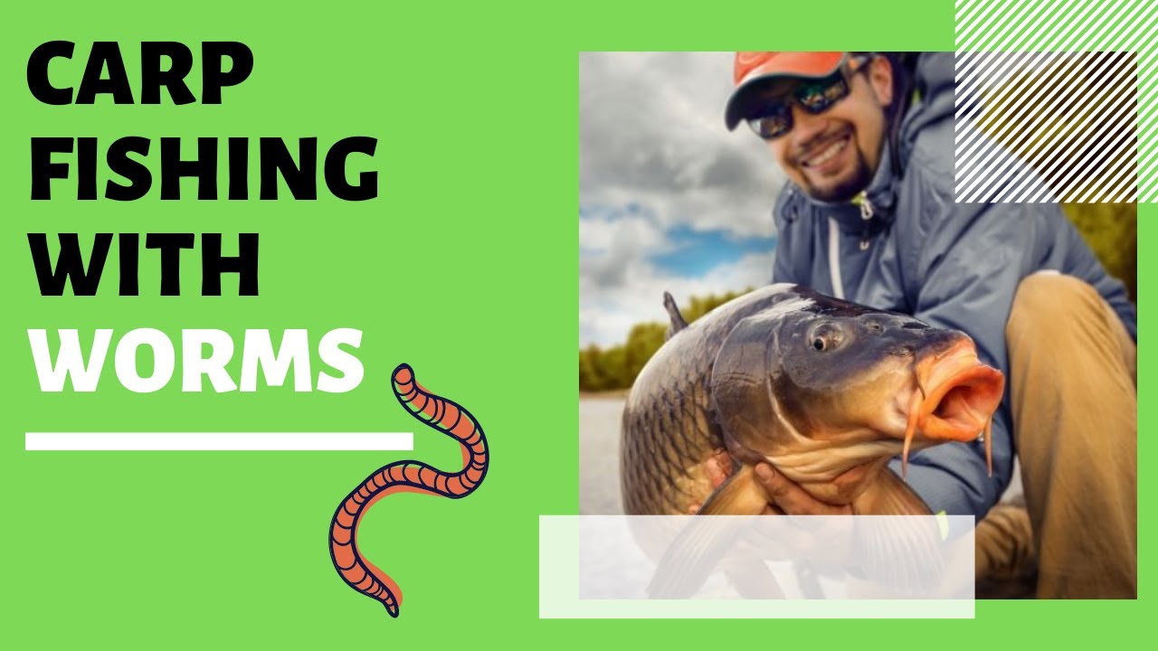 Carp Fishing With Worms: 5 BEST Tips of All Time! 
