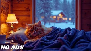 Calming music for Cats 🎵 Cat anxiety music with rain sound | Cat music for sleep | Piano cat music