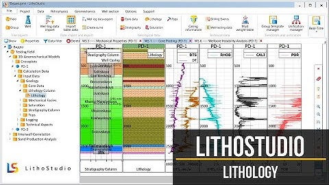 1-6 Lithology Data Import in Lithology