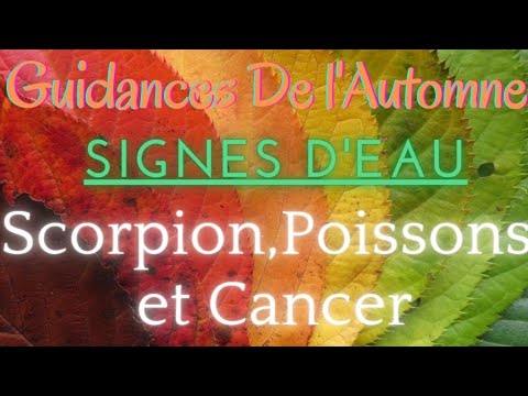 Vidéo: Comment Connaître Son Karma Et Son Destin : Femme Cancer, Scorpion, Poissons